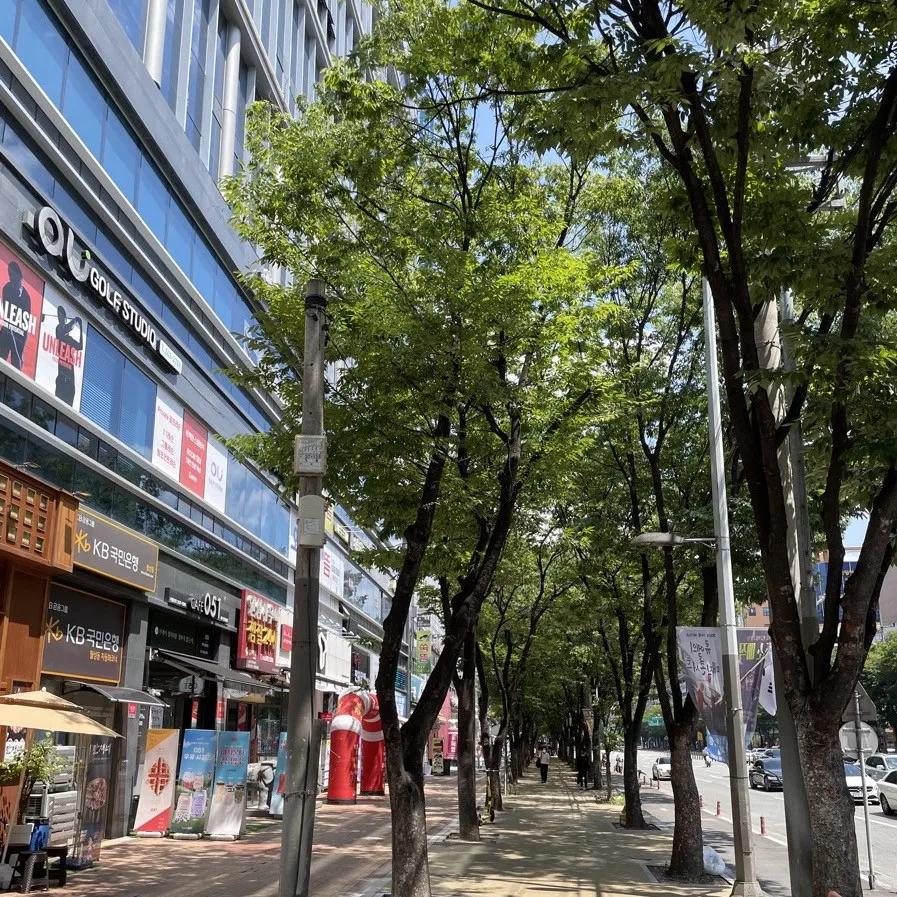 大邱的街道