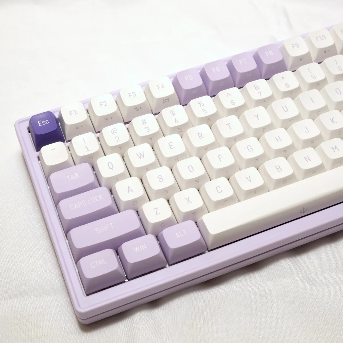 【真實心得】 波軍PK02淡雅紫機械鍵盤 開箱試打啦 我給她超高的評價。