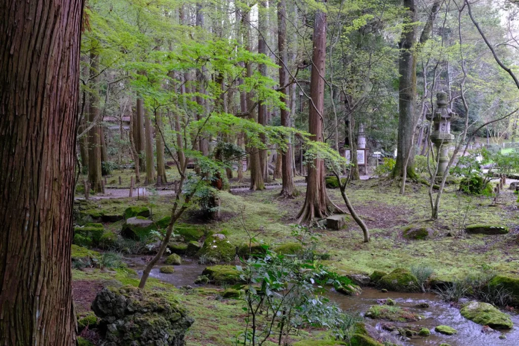 成田山公園