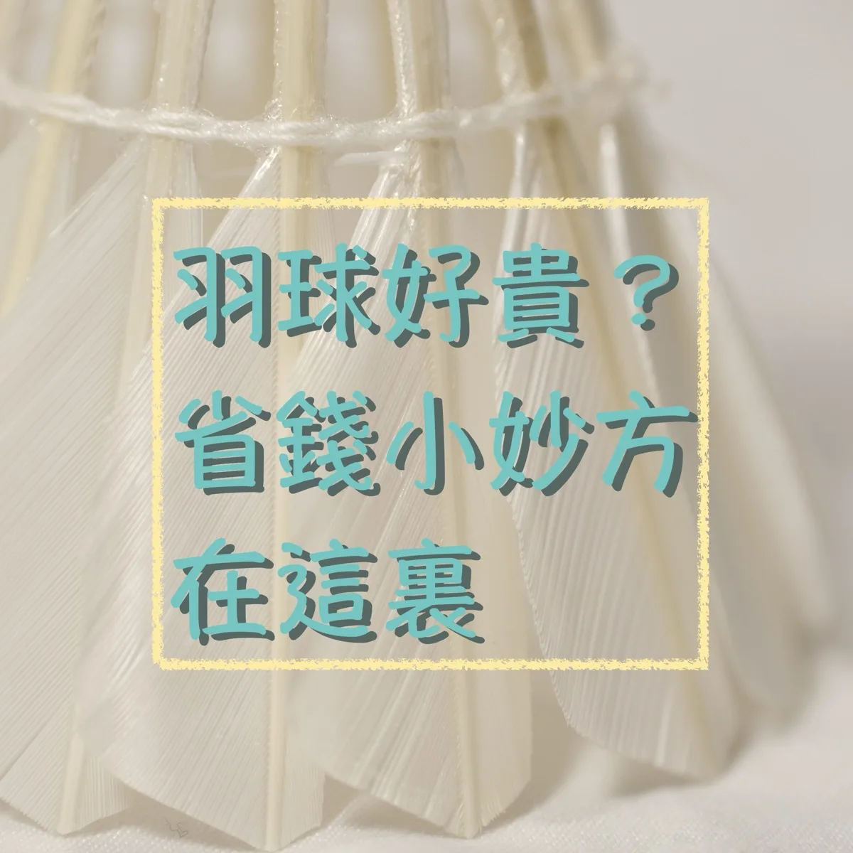 羽毛球怎麼省？五個小技巧讓你打球省錢又過癮